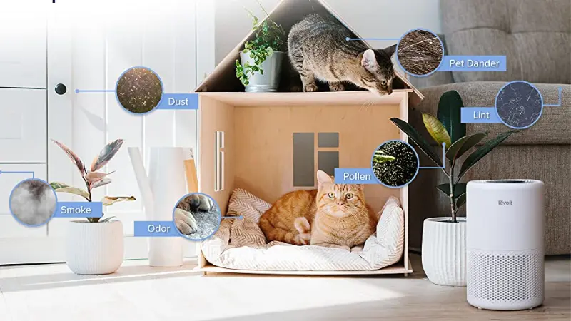 Luchtreiniger voor dieren